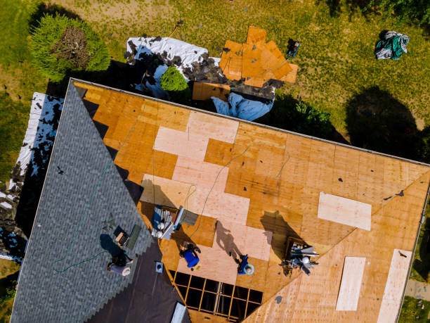 Best Metal Roofing Contractor  in Barview, OR