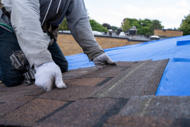 Roof Waterproofing Services in Barview, OR