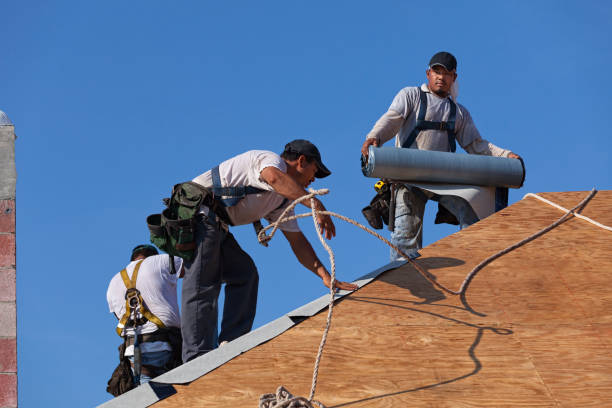 Best Storm Damage Roof Repair  in Barview, OR